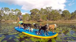 SUP JP-Australia 2019 MONSTAIR 16’0”х58” SE - фото 30774