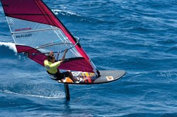 Фойл Neilpryde 233 FLIGHT F4 EVO FOIL CARBON - фото 38200