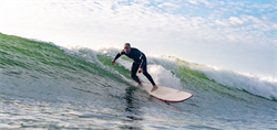 Доска SURF SIC 25 SWINDLER x22.5 HF 8'6\" - фото 63459