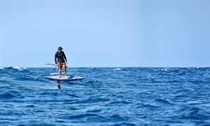 Чехол для досок Wing SIC FOIL BOARD BAG 8.4x23 8&#39;4\&quot;
