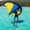 Комплект WING Unifiber 23 Impulse 5'4 & 3.5 Wing, 2000 Front Wing Foil and Leash - фото 47630