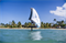 Крыло Wing Neilpryde 25 FLY III PRO - фото 61337