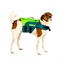Жилет для собак Jobe 25 Pet Vest Lime Teal - фото 61461