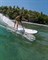 Доска SURF SIC 25 NOSERIDER 9'4\" - фото 63167