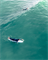 Доска SURF SIC 25 PICK POCKET x23.0 HF 7'10\" - фото 63450